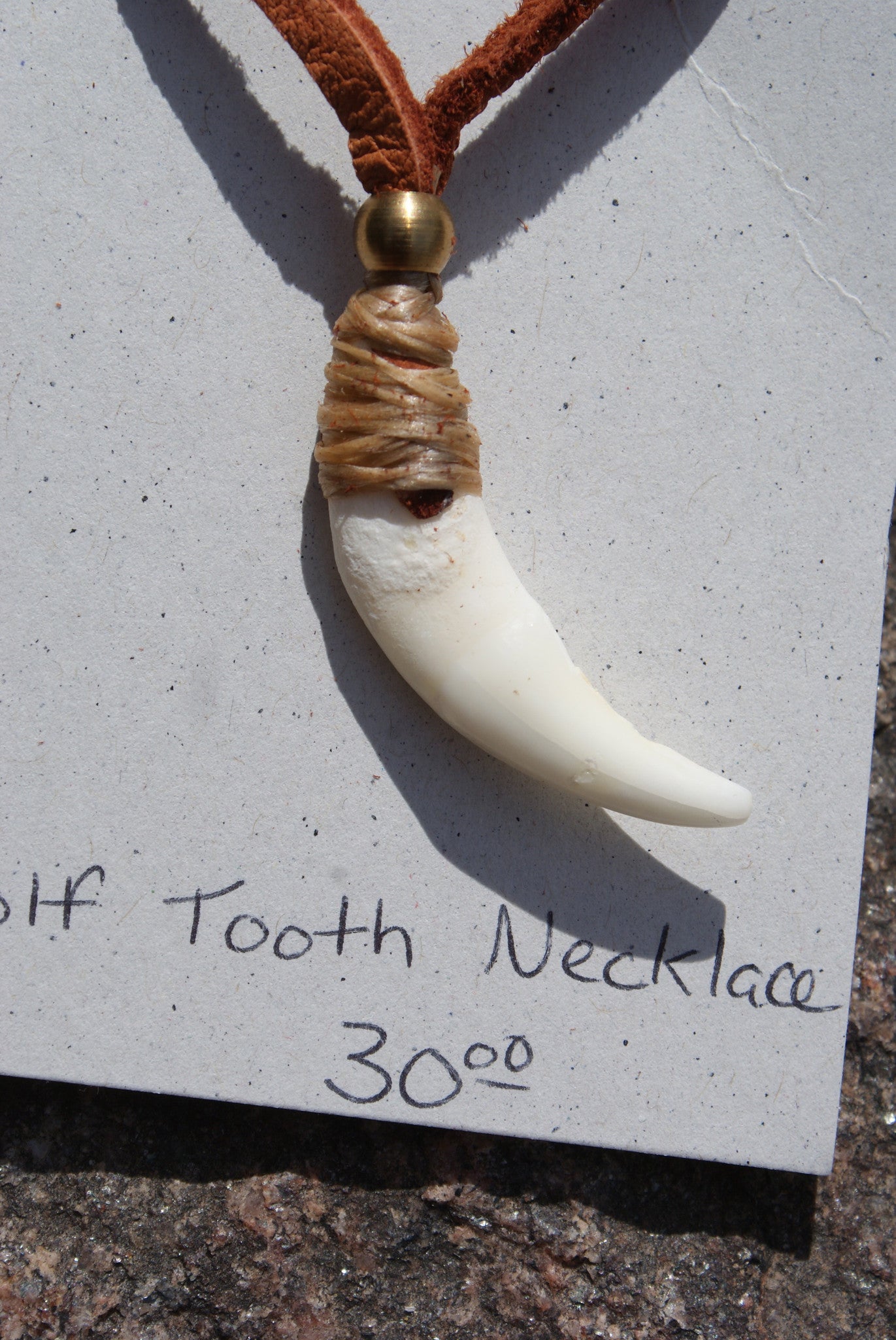 Genuine wolf 2025 tooth necklace